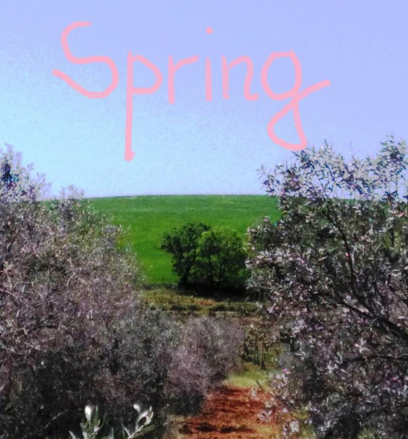 Agriturismo Il Cantiniere غروسيتو المظهر الخارجي الصورة