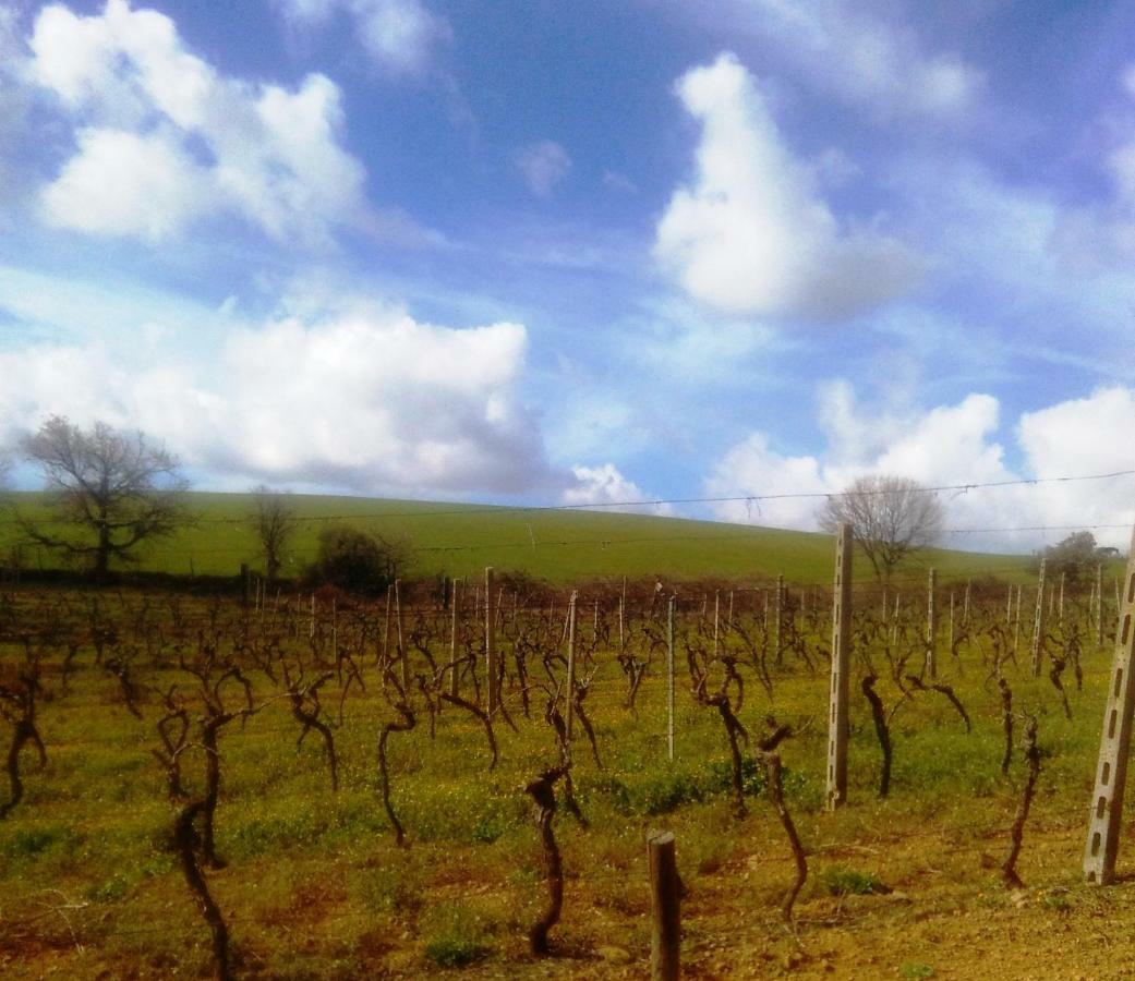 Agriturismo Il Cantiniere غروسيتو المظهر الخارجي الصورة