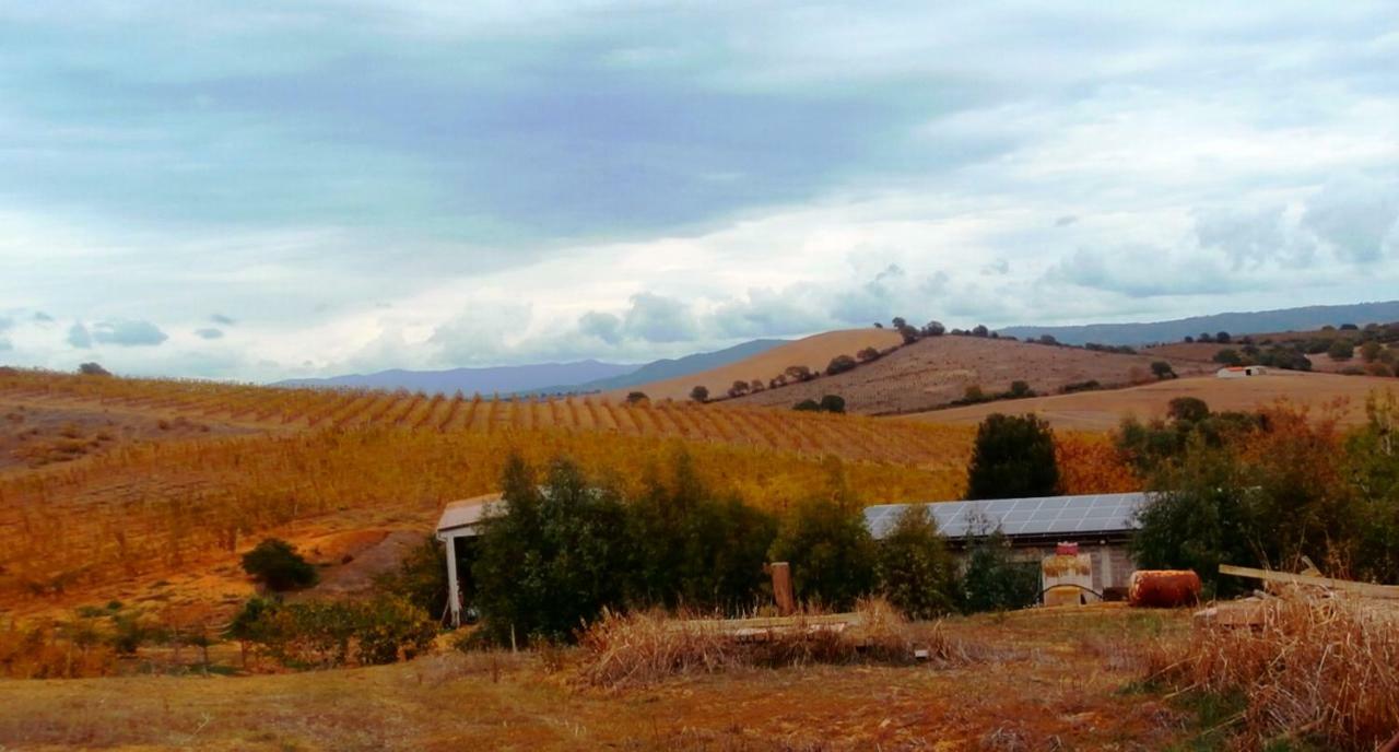 Agriturismo Il Cantiniere غروسيتو المظهر الخارجي الصورة