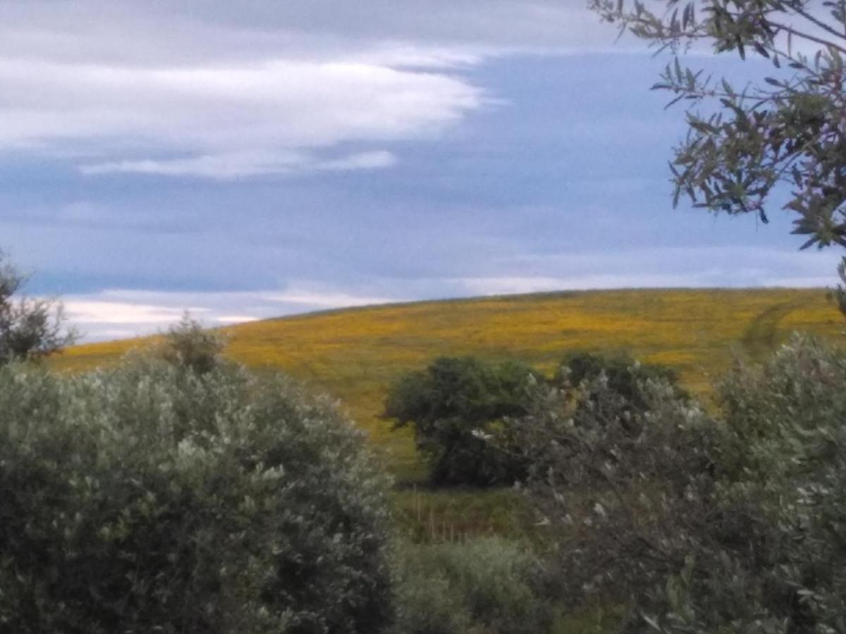 Agriturismo Il Cantiniere غروسيتو المظهر الخارجي الصورة